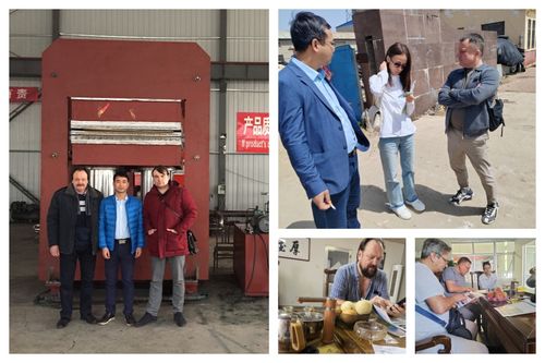 Europese klanten kochten vulcaniseringsmachine voor rubbergieten